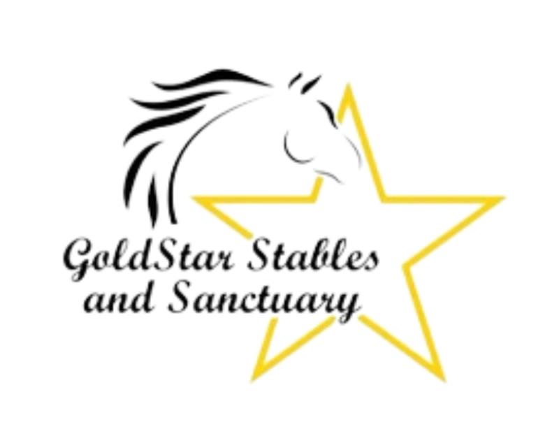 GoldStar Horse Rescue and Sanctuary