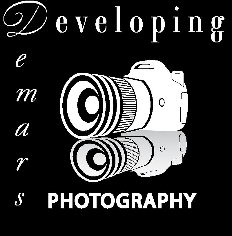 Developing Demars Photography